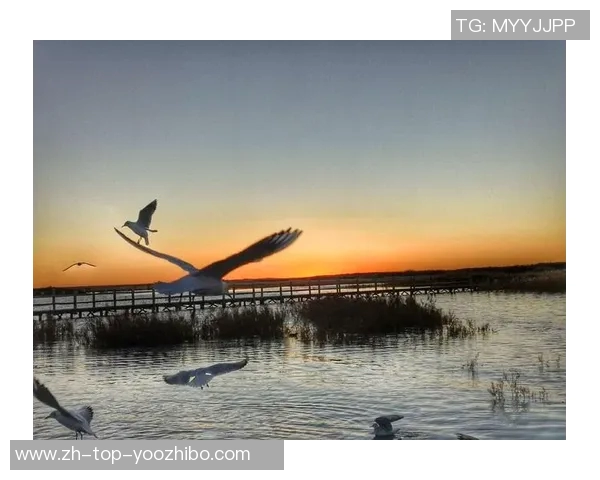 足球小将若林的成长之路与梦想追逐的热血青春故事 足球小将若林的成长之路与梦想追逐的热血青春故事