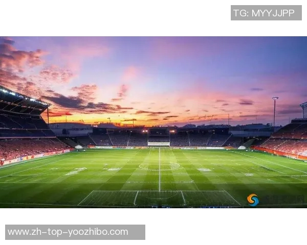 友谊足球赛:团结与激情交汇的绿茵场上友谊之花绽放 友谊足球赛:团结与激情交汇的绿茵场上友谊之花绽放