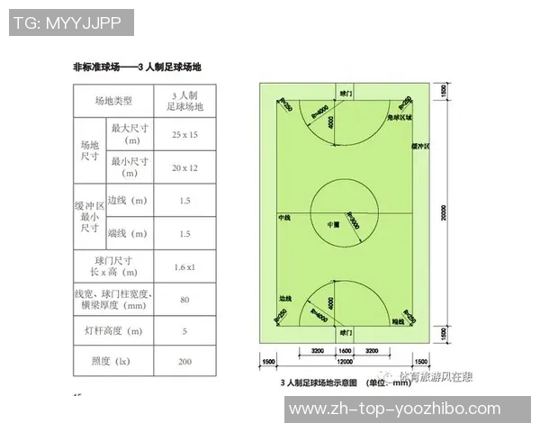 标准足球场的设计与建设对足球运动发展的重要影响分析